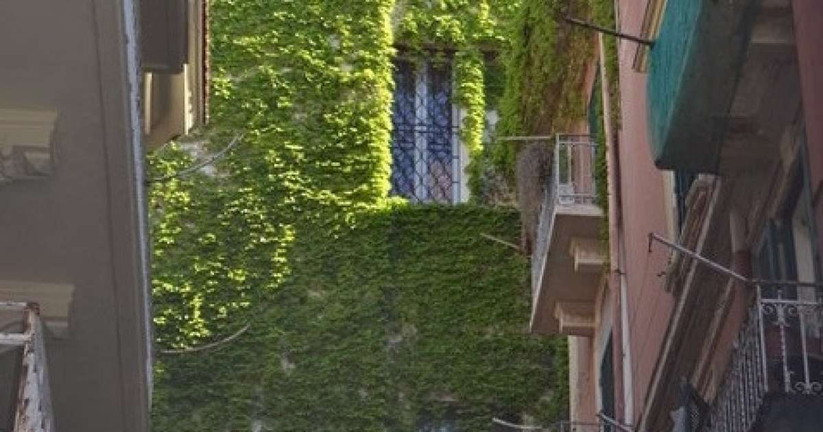 Nel rione Madonnella c'� il palazzo-giungla: unico caso a Bari